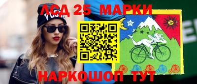 бошки Новодвинск